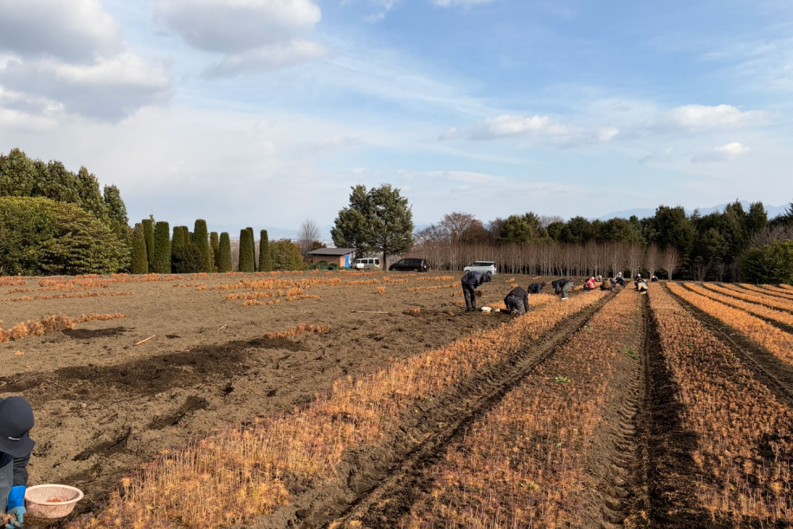 ギャラリー画像 2